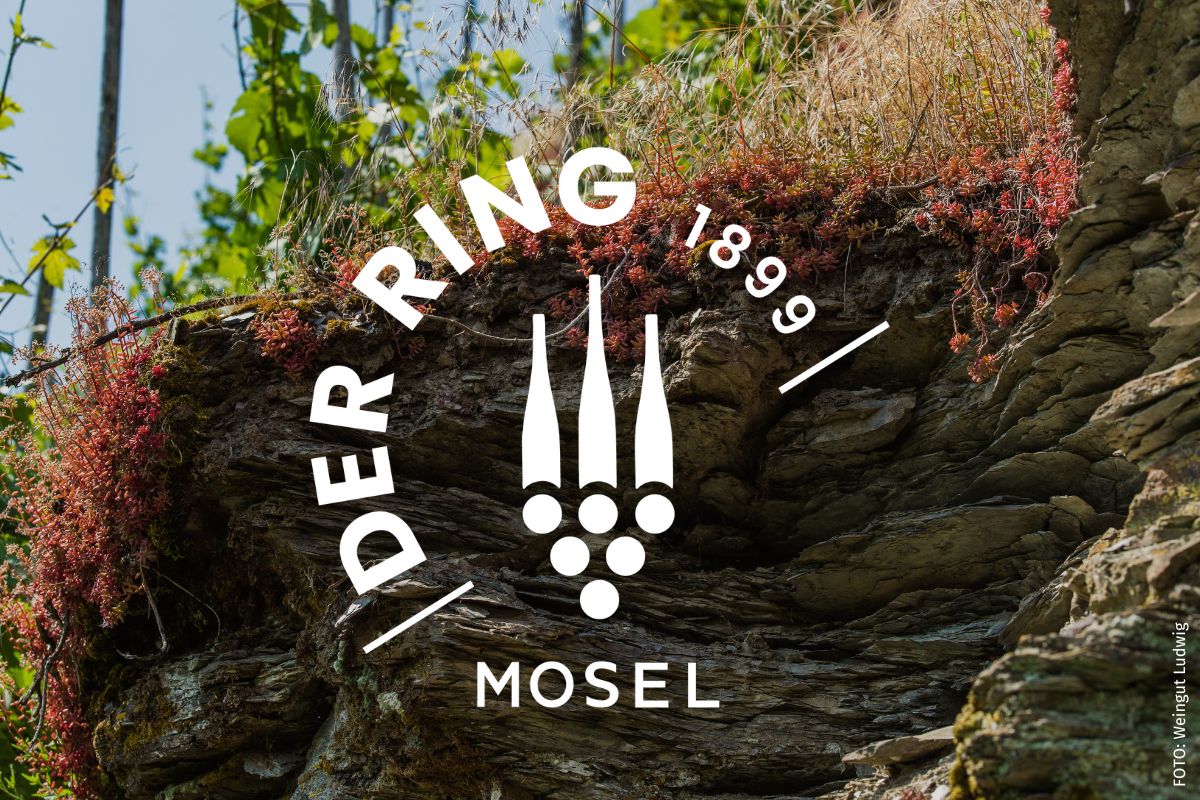 Wir begrüßen zwei neue Mitglieder